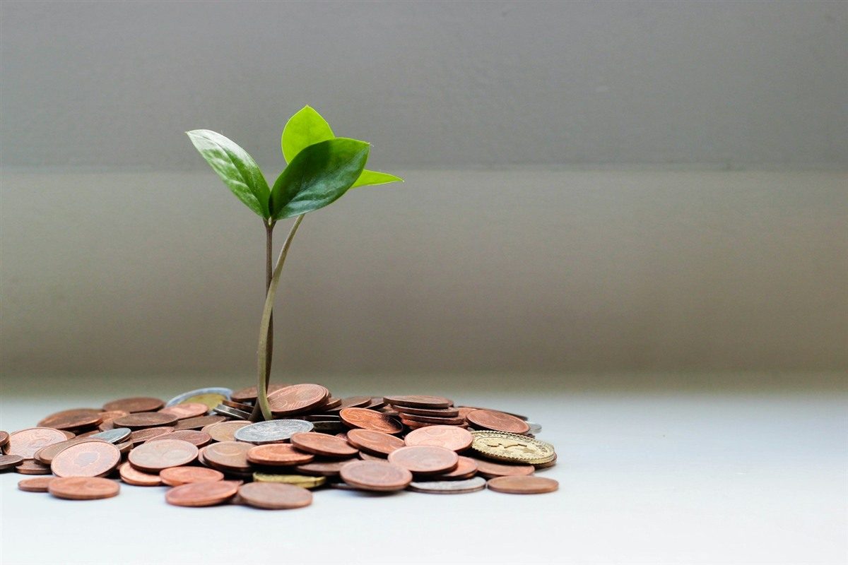 Savings and cash value concept related to permanent life insurance planning