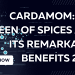 Buy Best cardamom