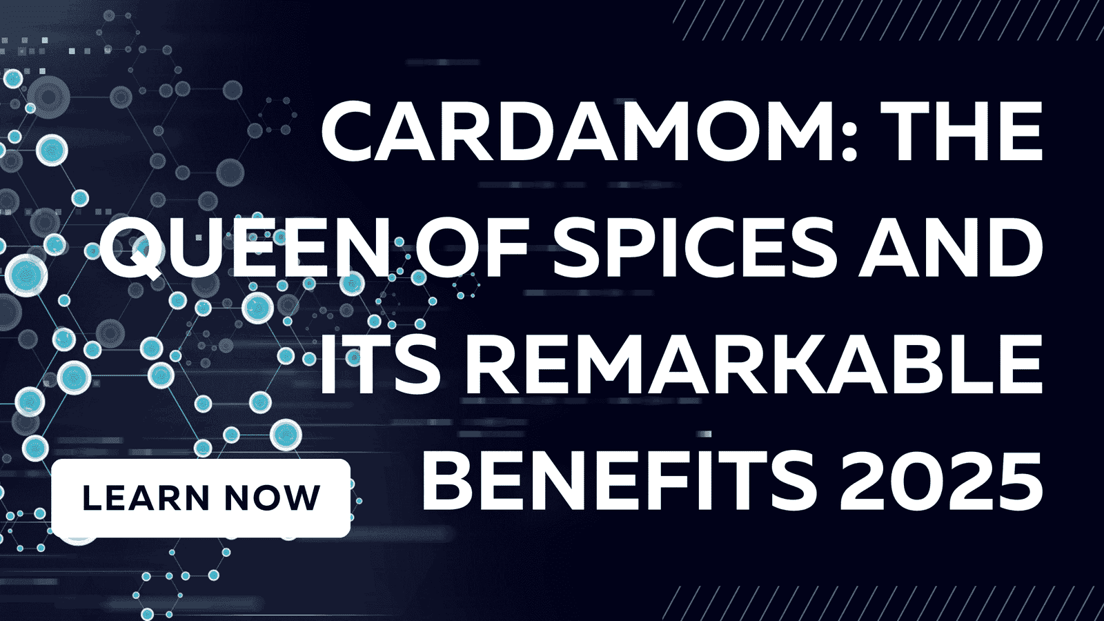 Buy Best cardamom